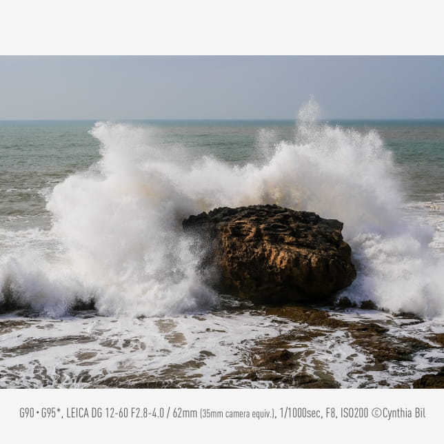 panasonic g97