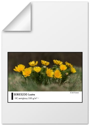 papier fotograficzny fomei photo series230 lustre - arkusze