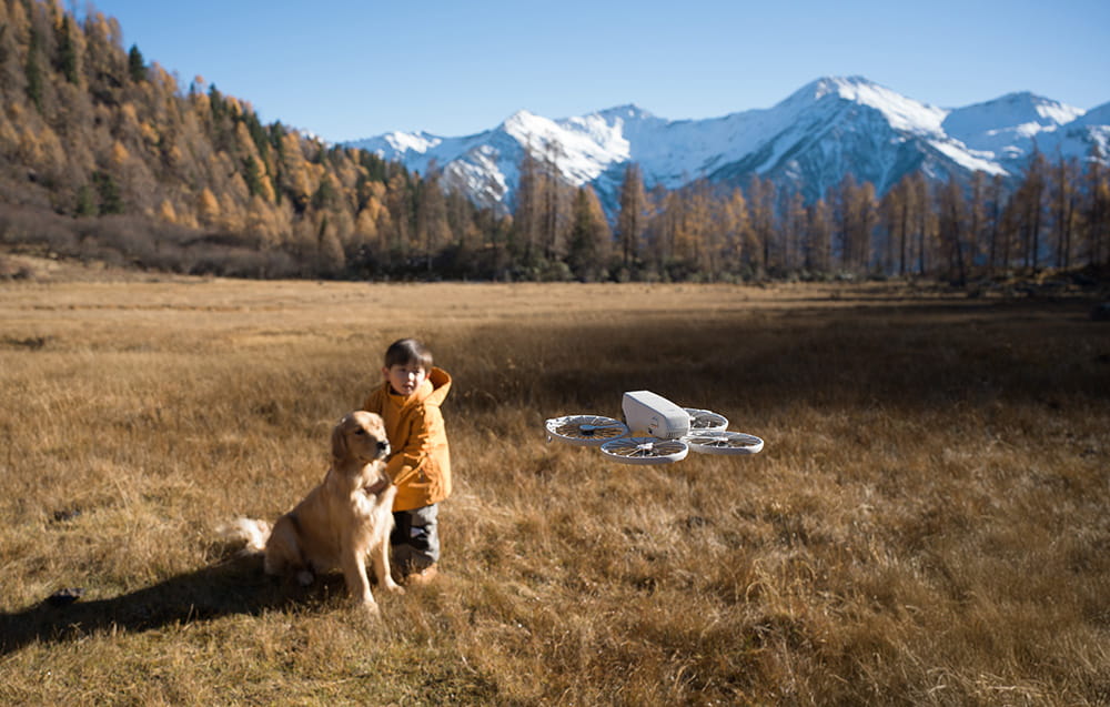 dji care refresh dji flip