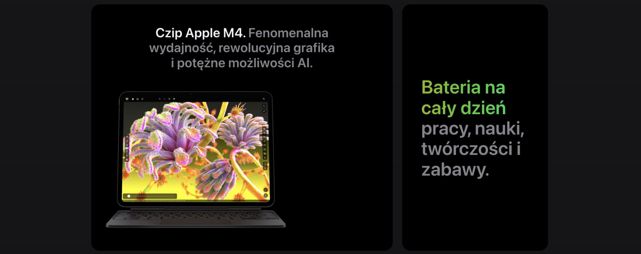 apple ipad pro