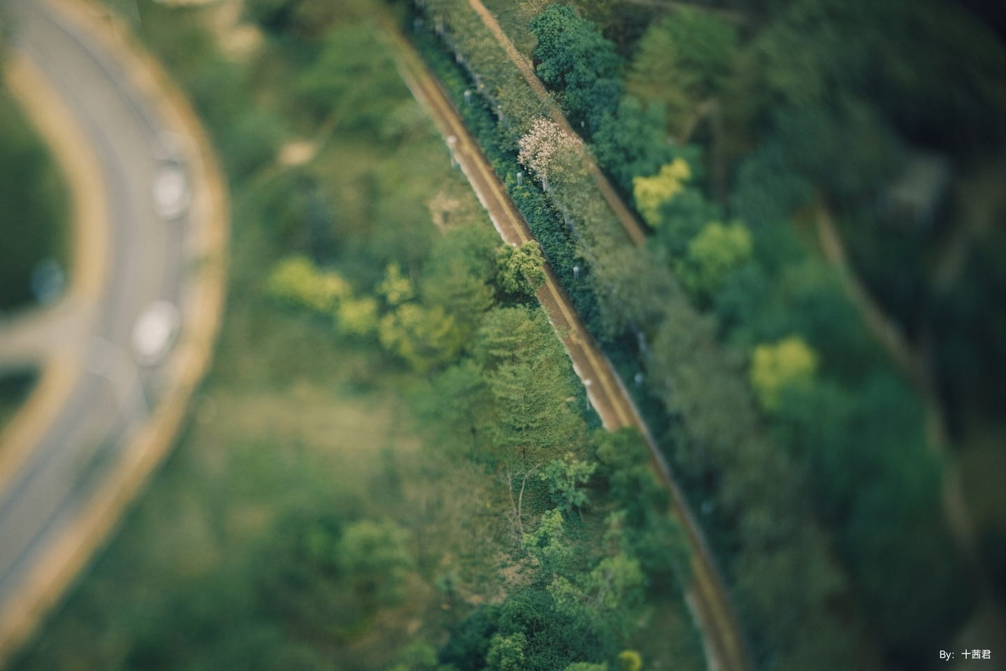 ttartisan tilt 35mm f1.4