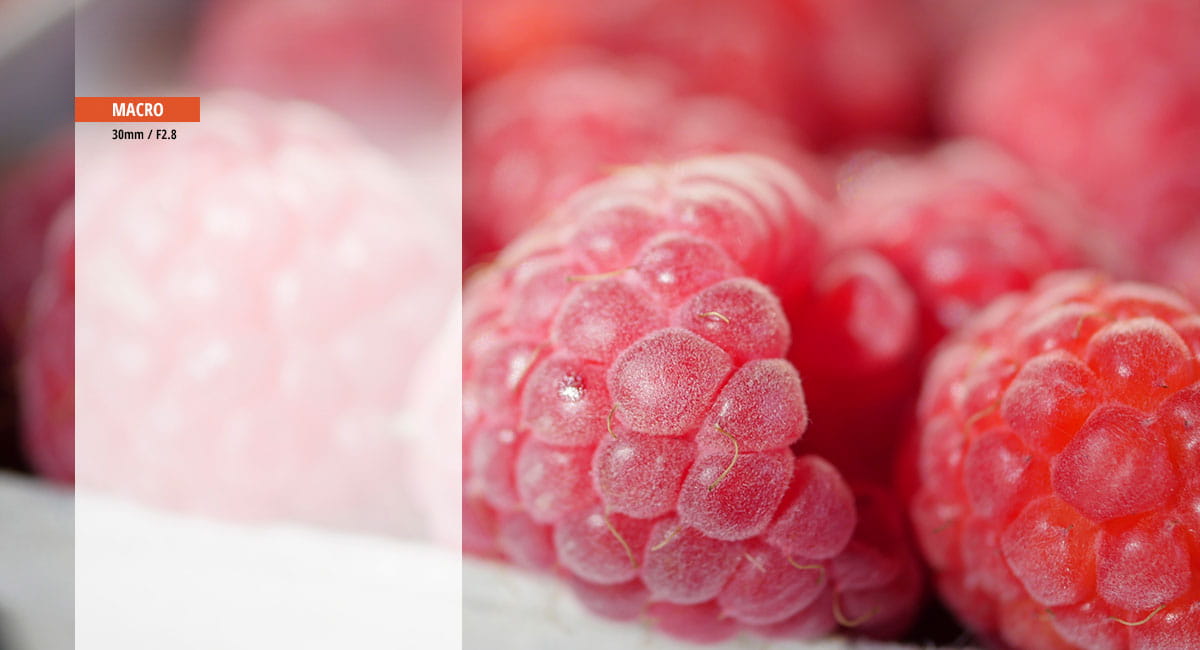 obiektyw panasonic lumix g macro 30mm f/2.8 asph. mega o.i.s.