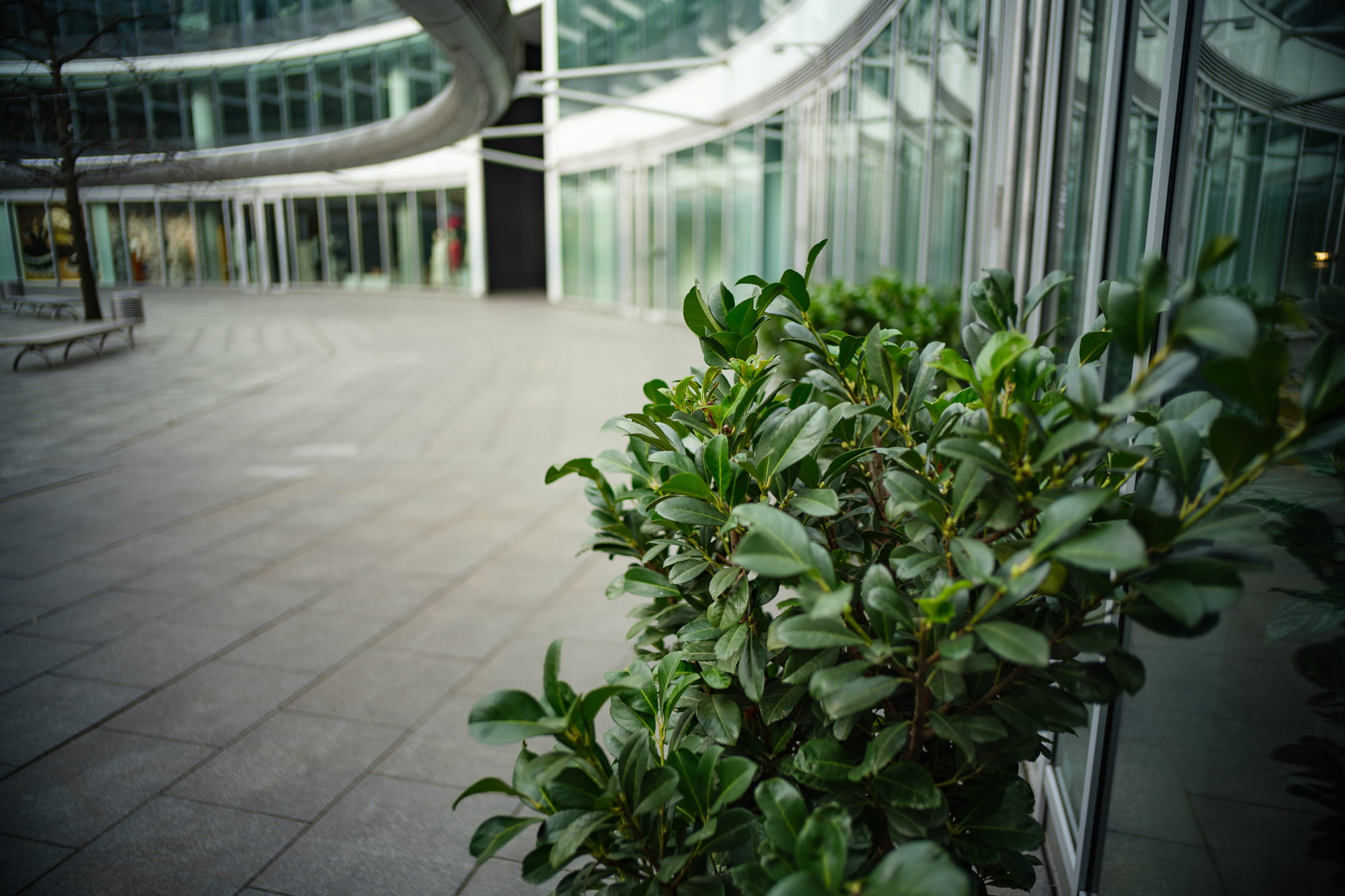 28mm f/1.5