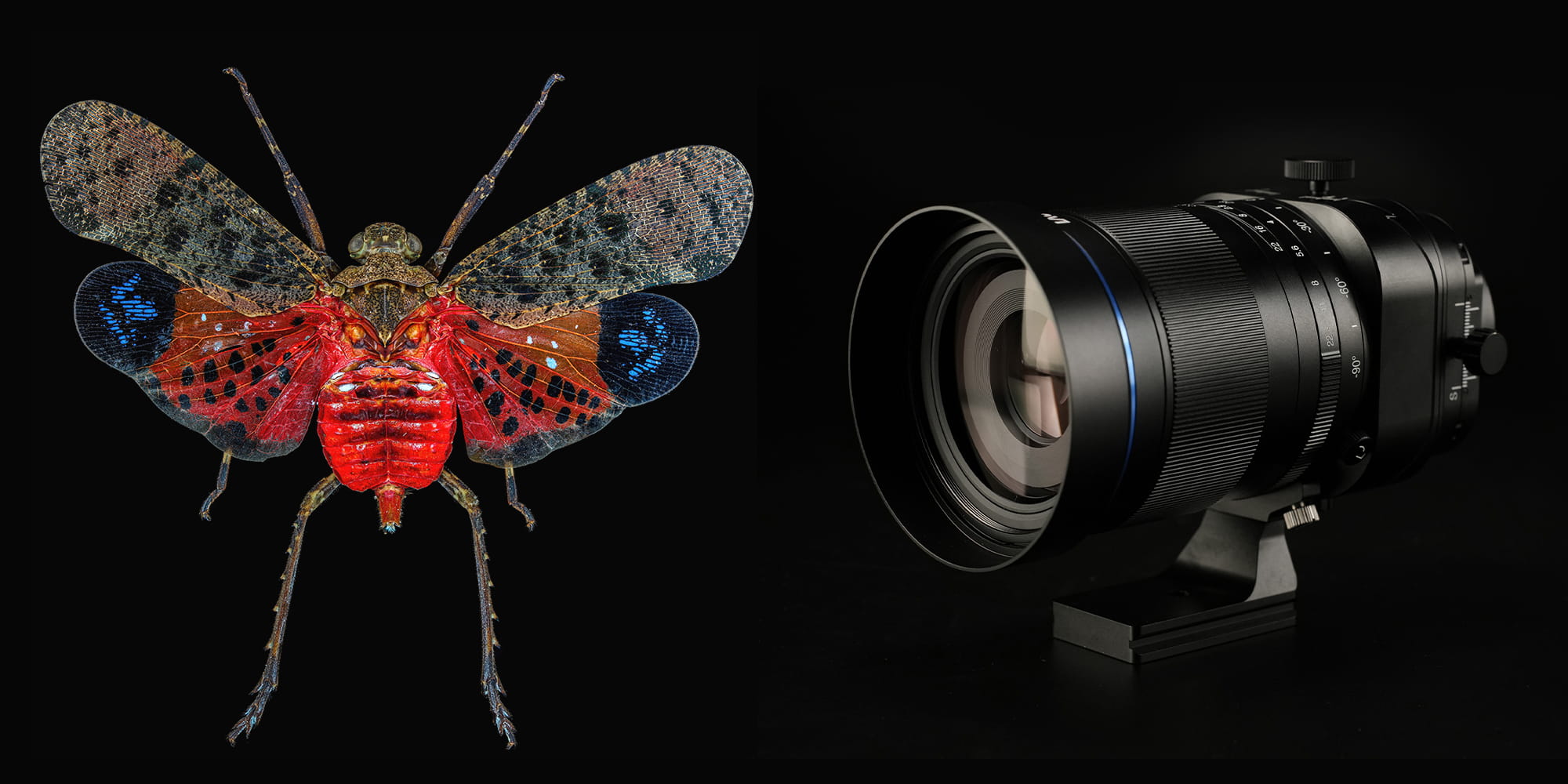 Obiektyw 55mm makro