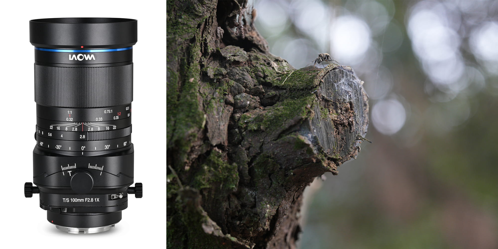 Laowa 100mm macro