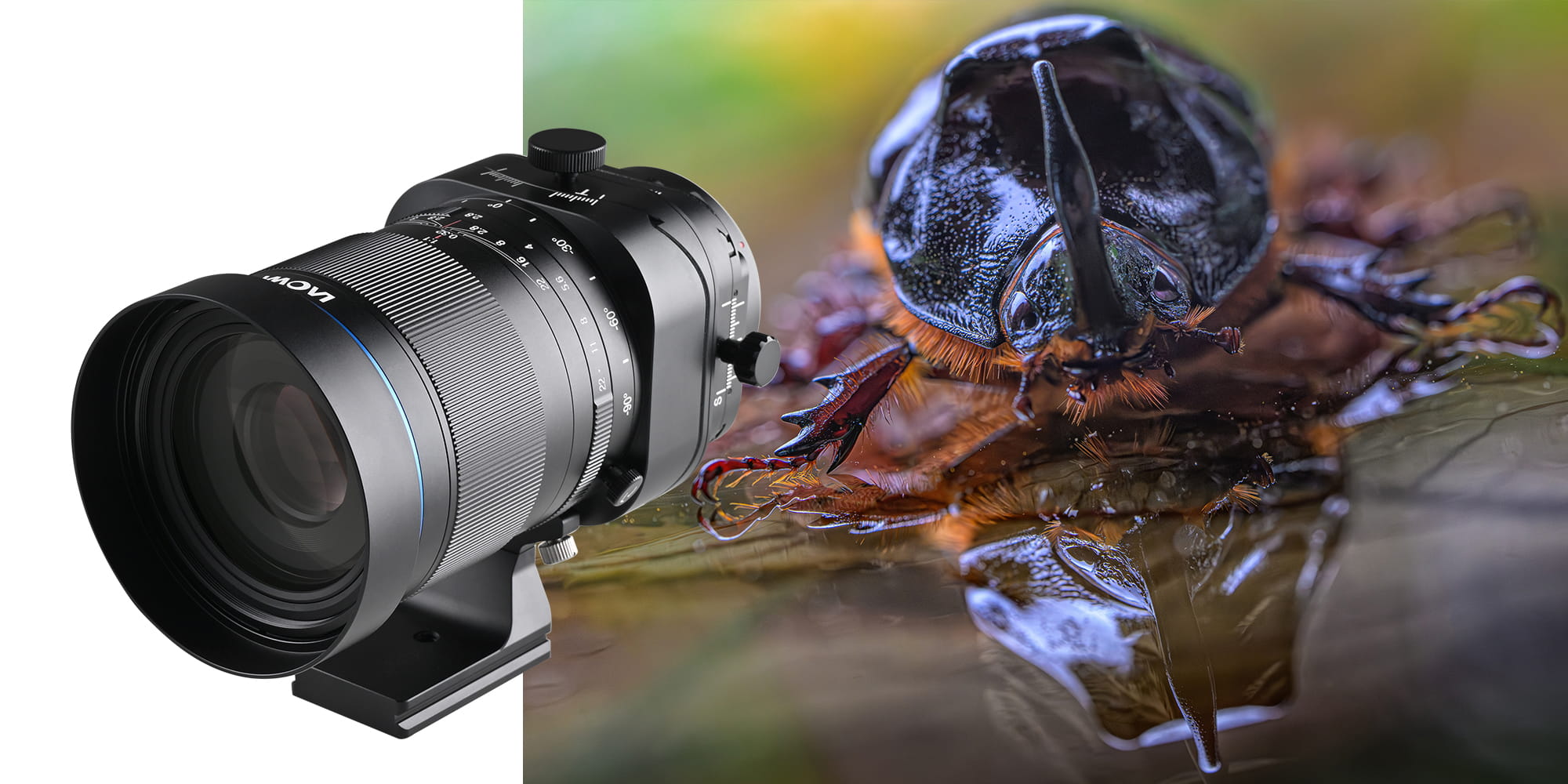 obiektyw 100 mm macro