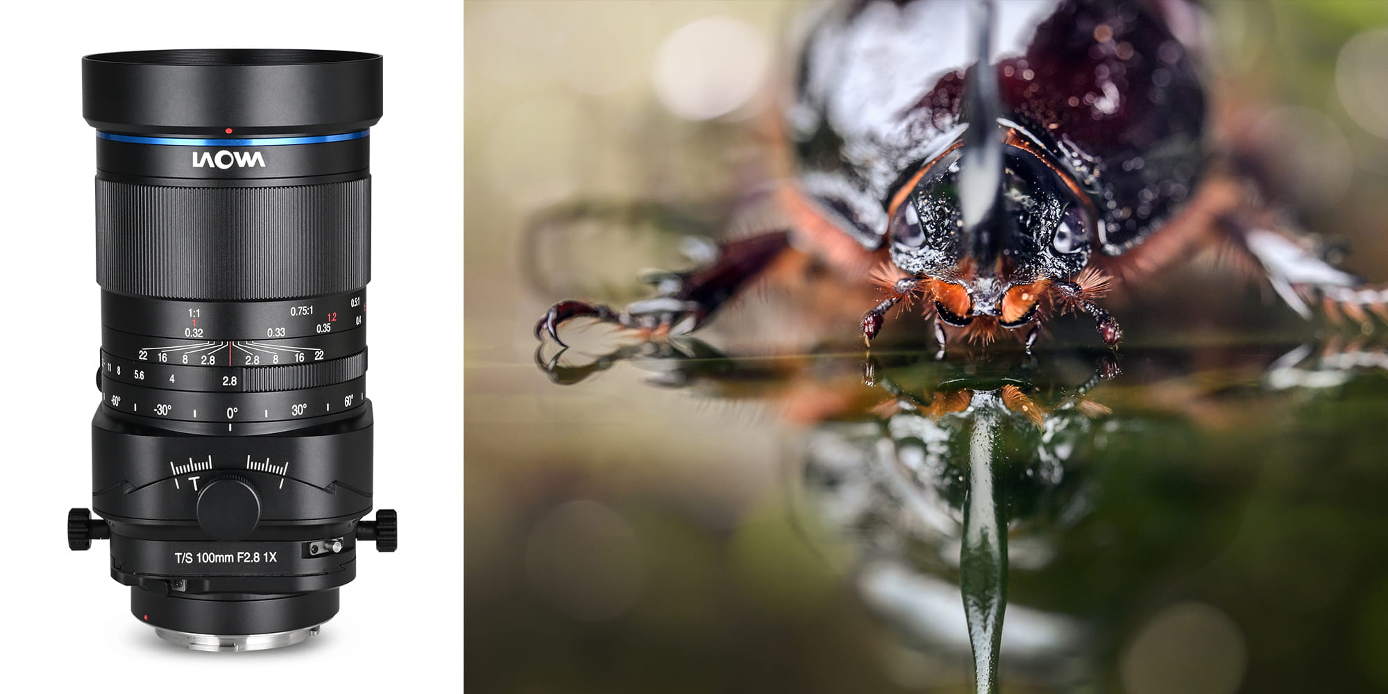 Laowa 100mm macro