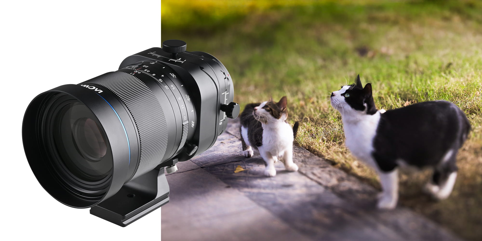 Laowa 100mm macro