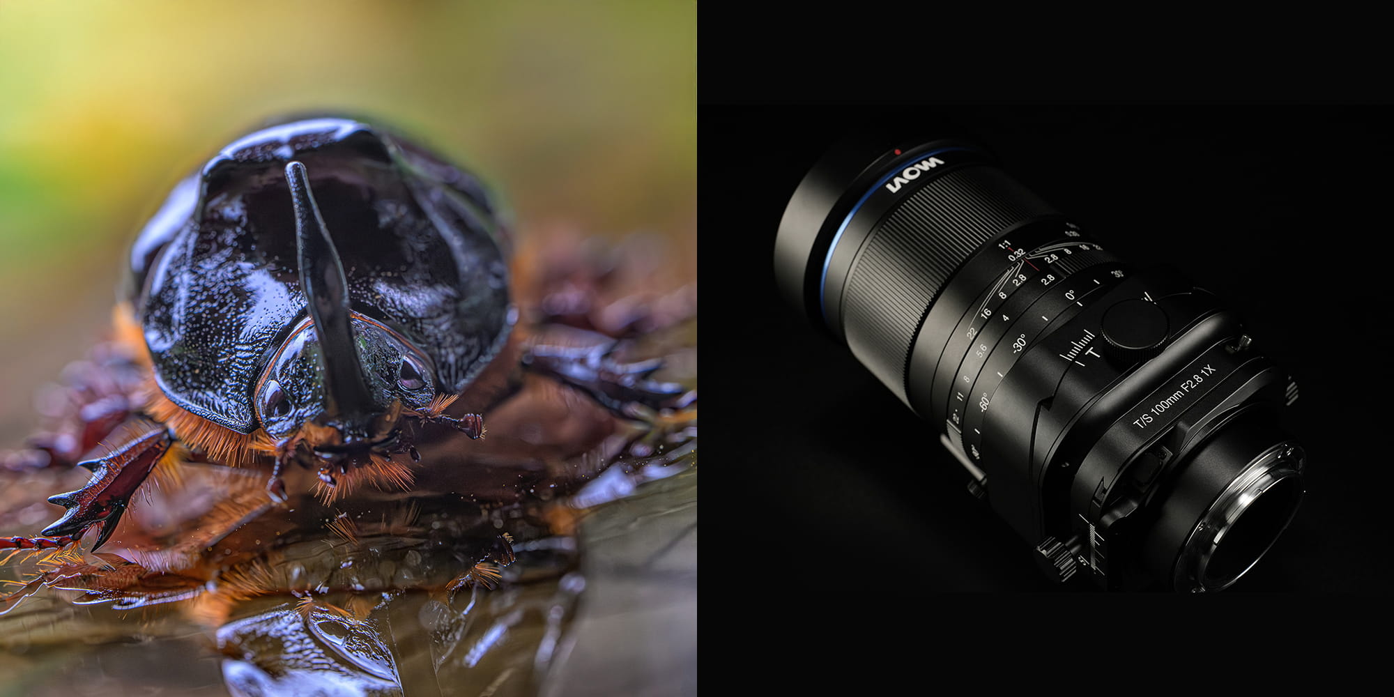Obiektyw 100mm