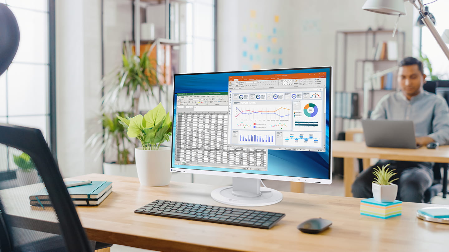 monitor flexscan ev2410r