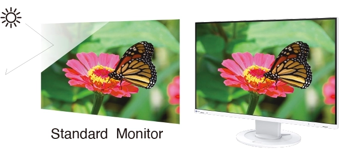 monitor eizo ev2410r