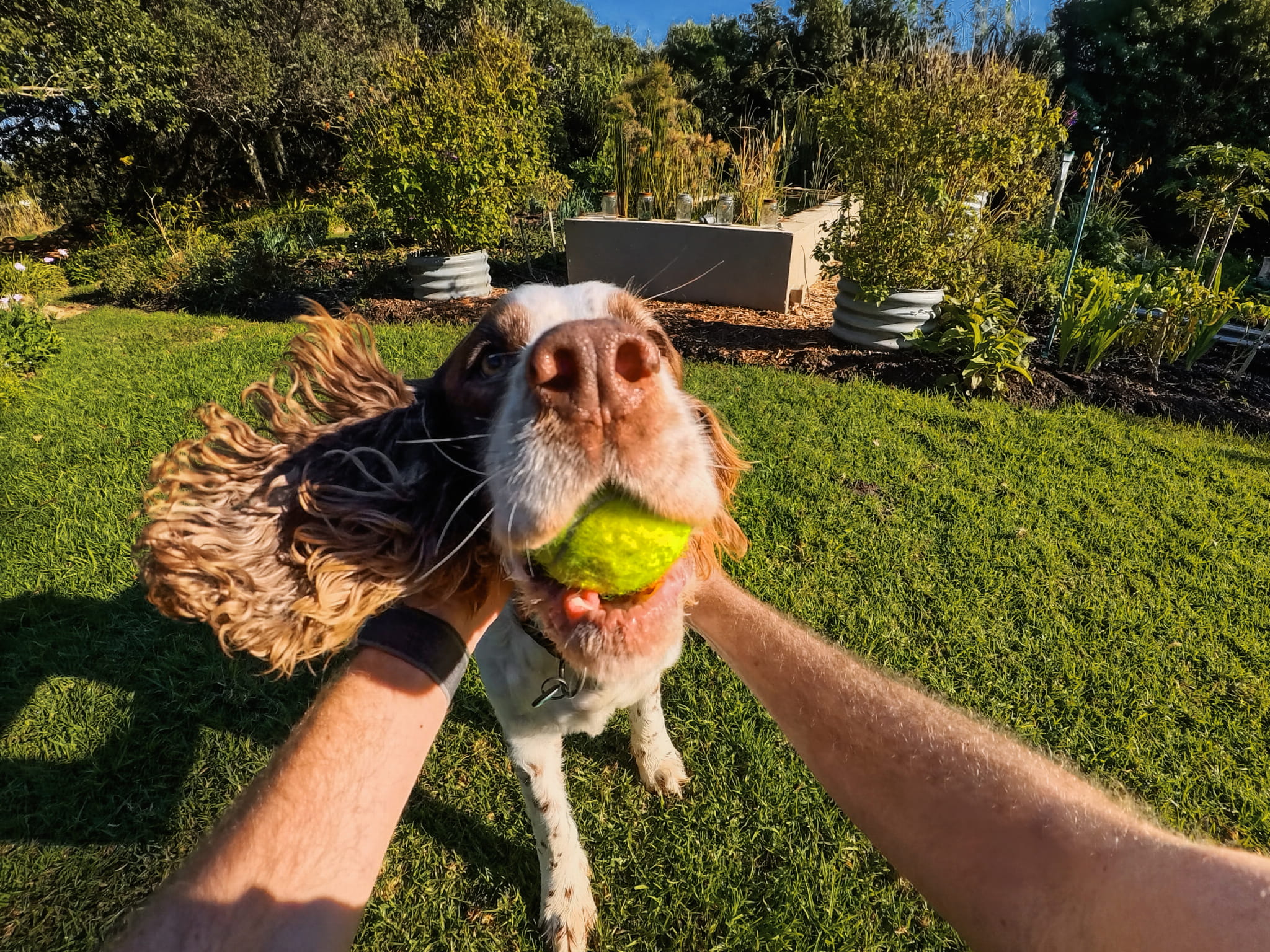 kamera sportowa insta360 go ultra