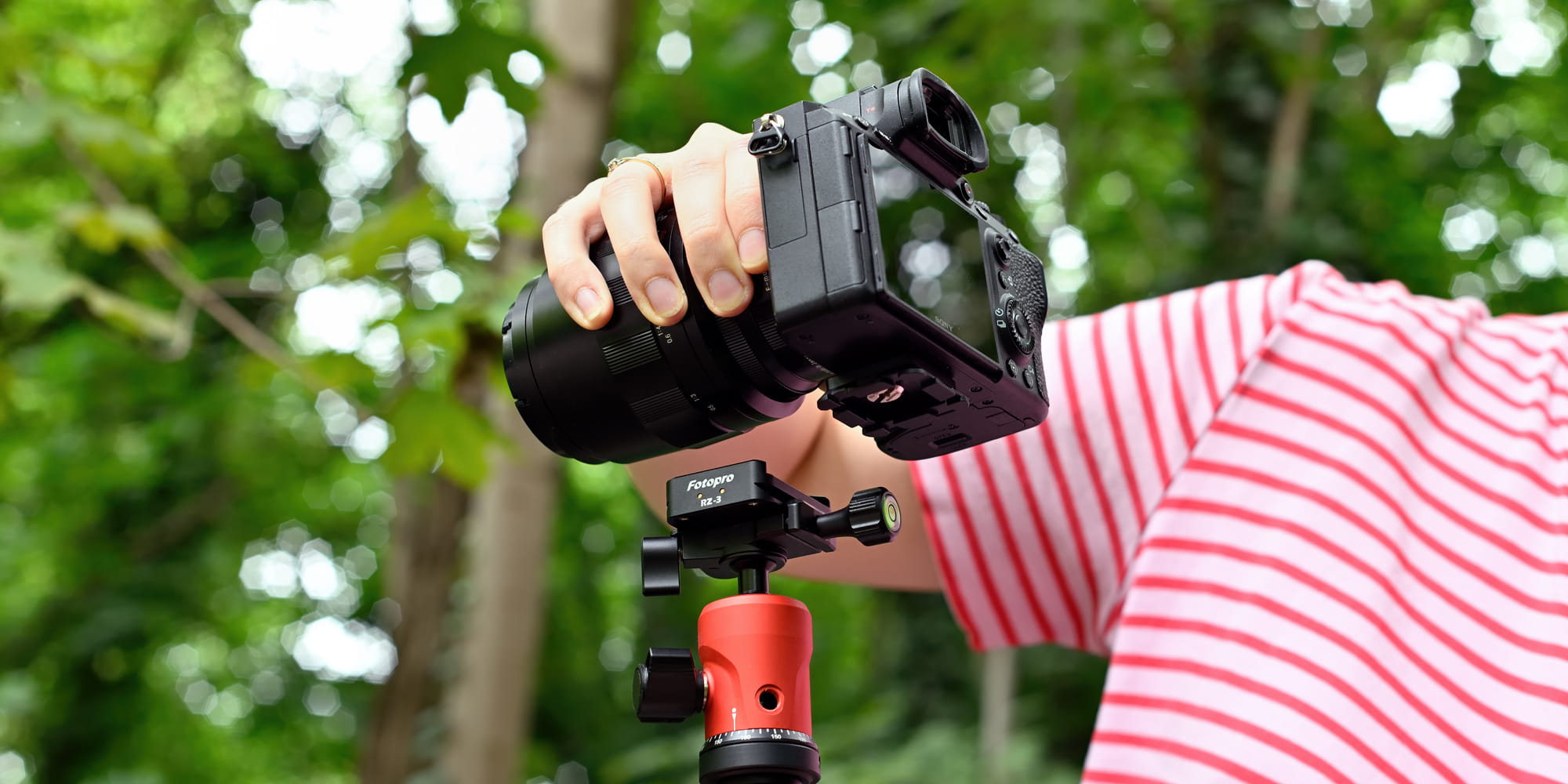 fotorpo rz-3