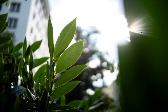 ttartisan af 23mm f1.8 ed sony e