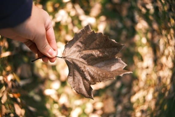 ttartisan af 23mm f1.8 ed fuji x