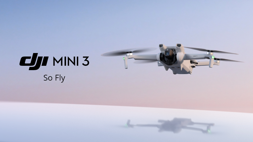 dji mini 3 fly more combo (dji rc)