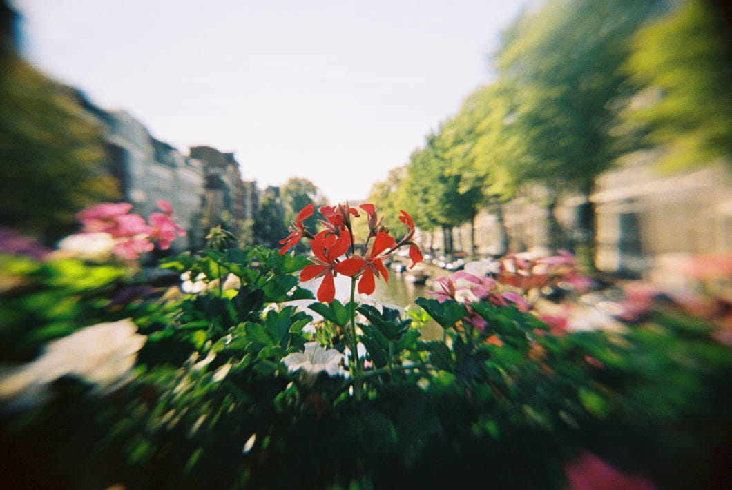 aparat ilford pixie 35-ii black