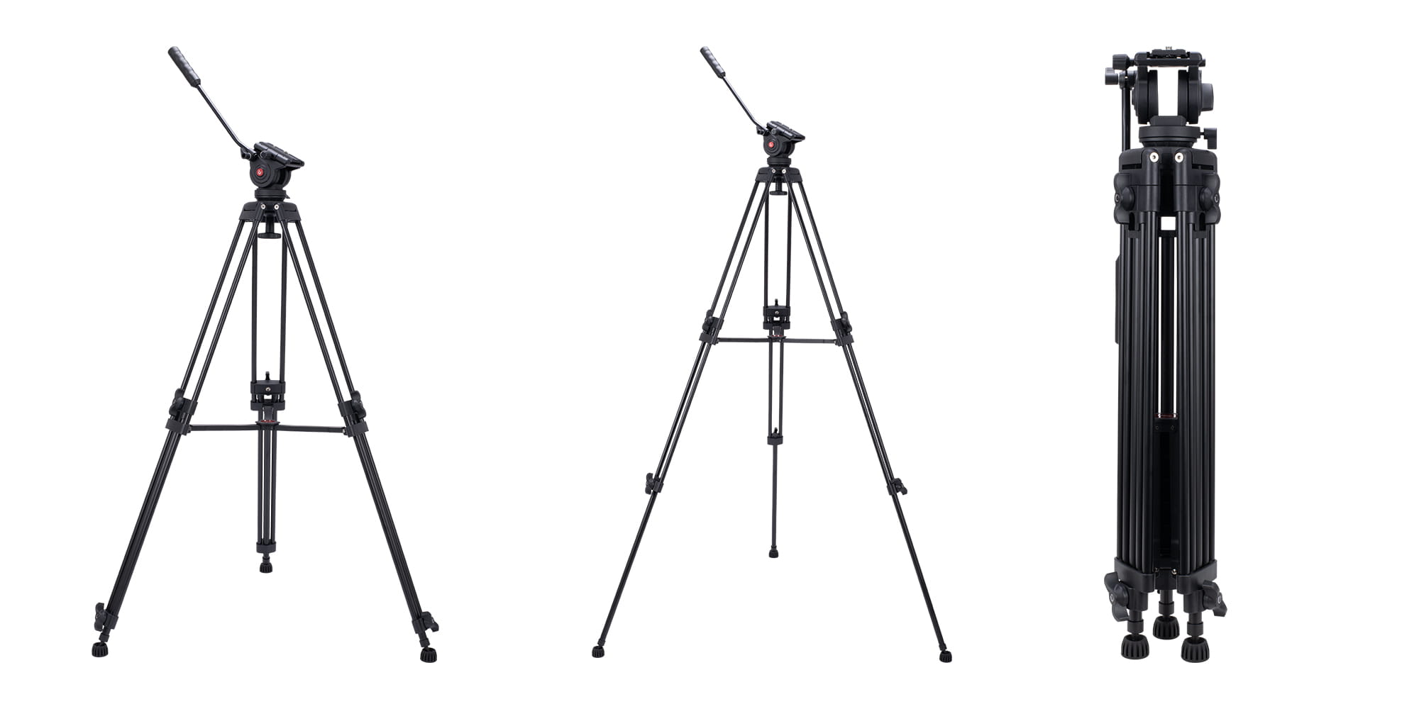 mt-81