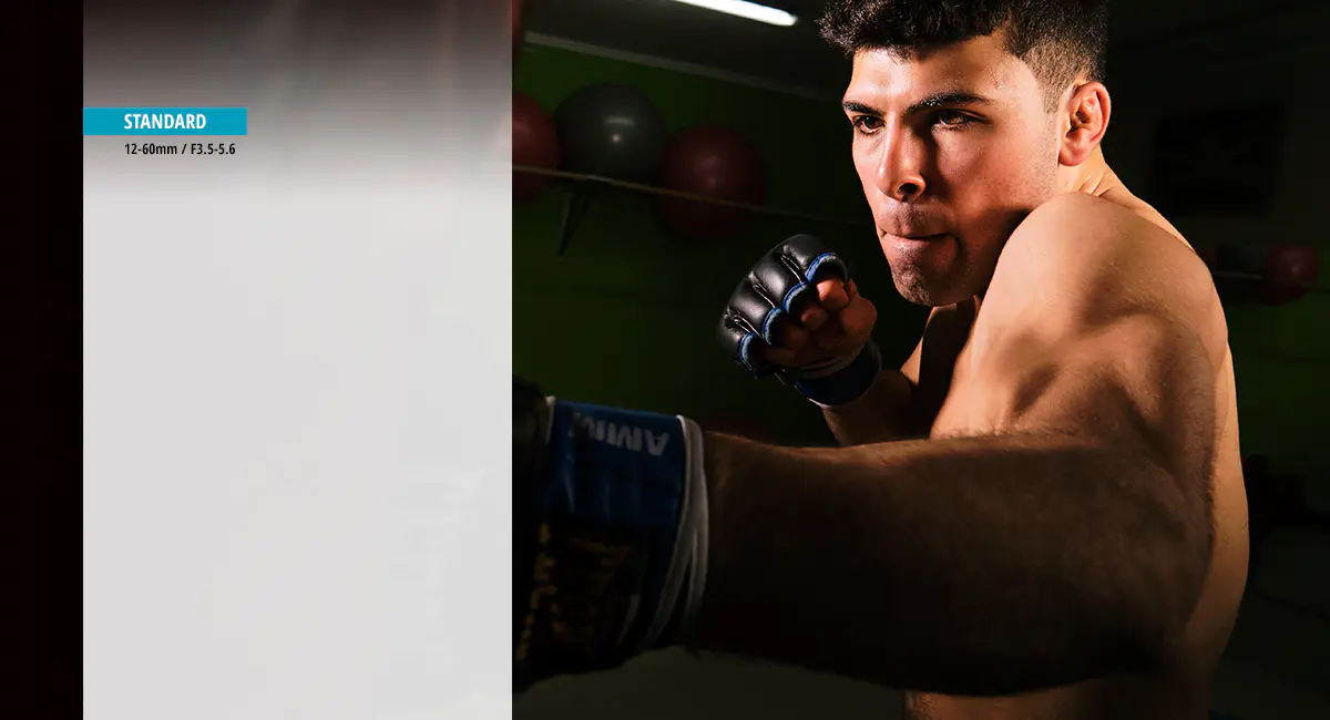 obiektyw panasonic lumix g vario 12-60mm f/3.5-5.6 asph. power o.i.s. (oem)