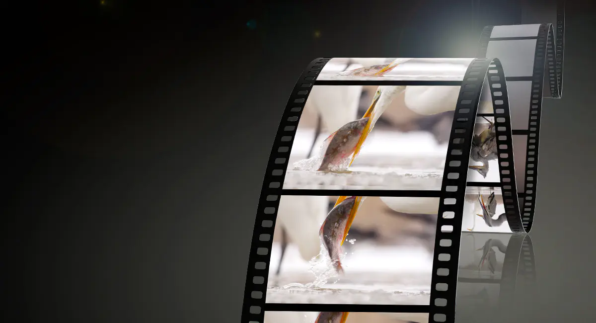 panasonic lumix g vario 12-60mm f/3.5-5.6 asph. power o.i.s. (oem)