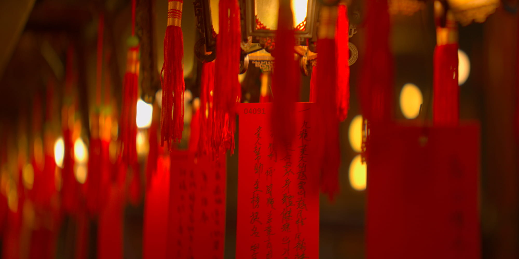 nanomorph 85 mm t2,9 1,5x lf blue do arri pl / canon ef