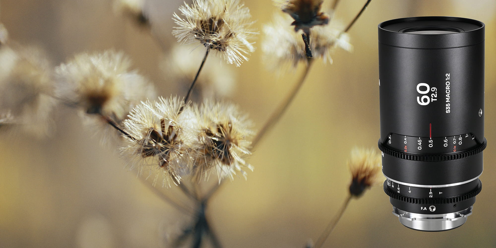 laowa nanomorph 60 mm t2,9 1,5x s35 macro 1:2 silver do arri pl / canon ef