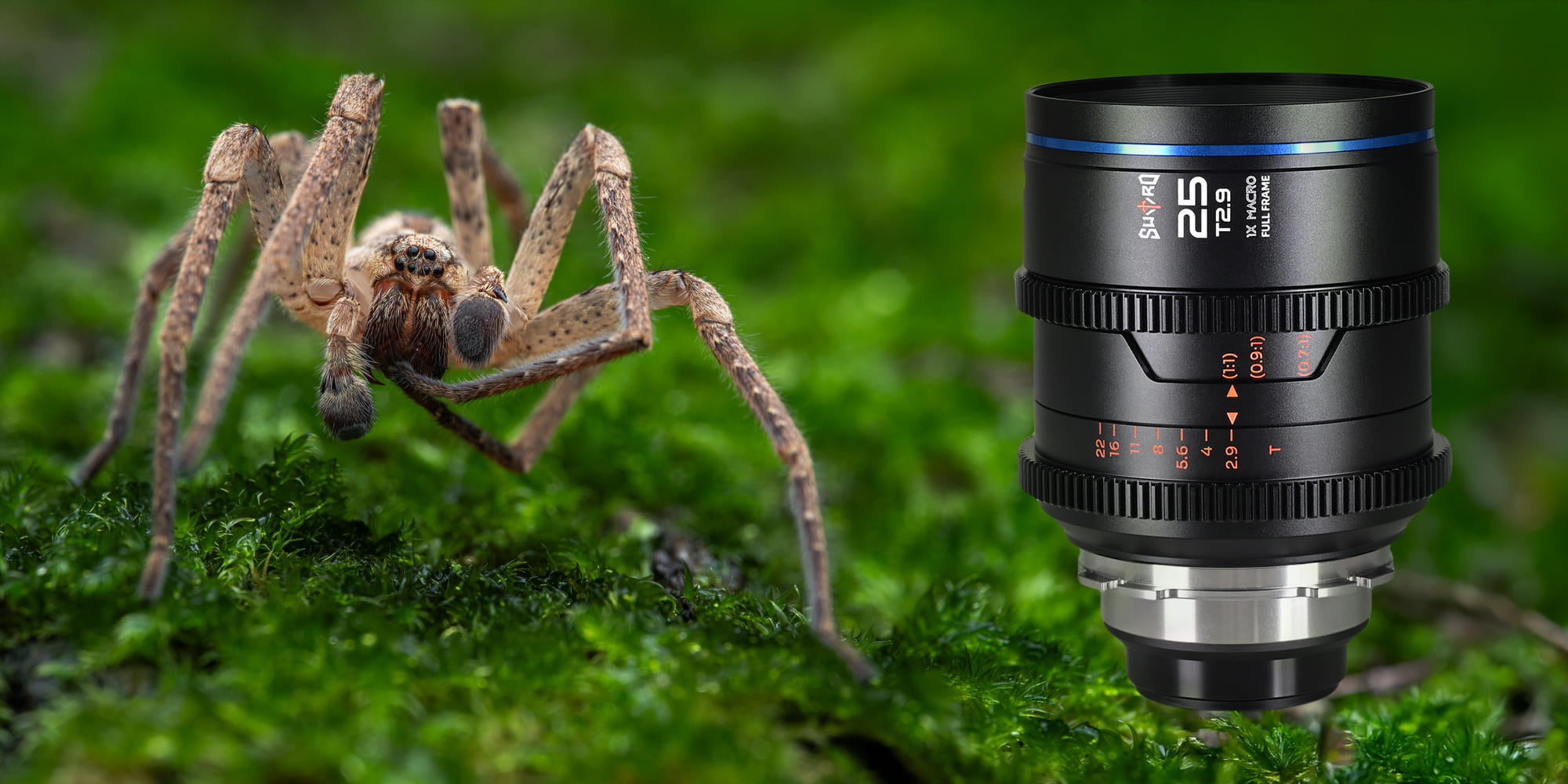 obiektyw sword 25 mm t2,9 1x macro cine do arri pl