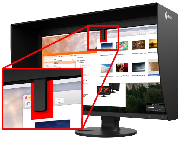 monitor eizo coloredge cg3100x