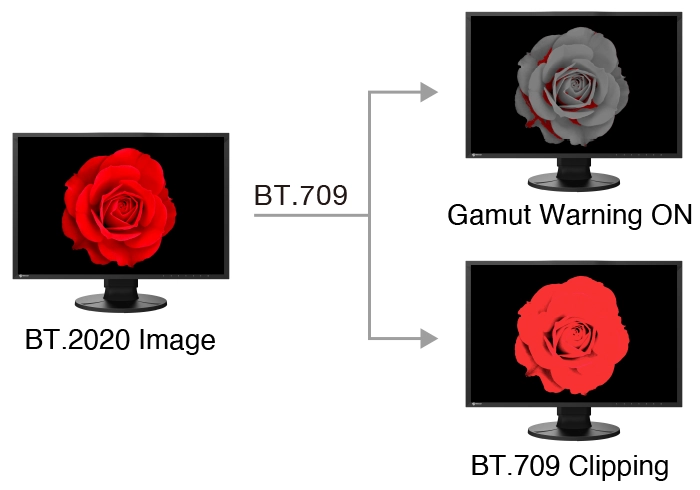 monitor eizo coloredge