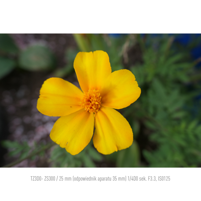 aparat cyfrowy panasonic tz300