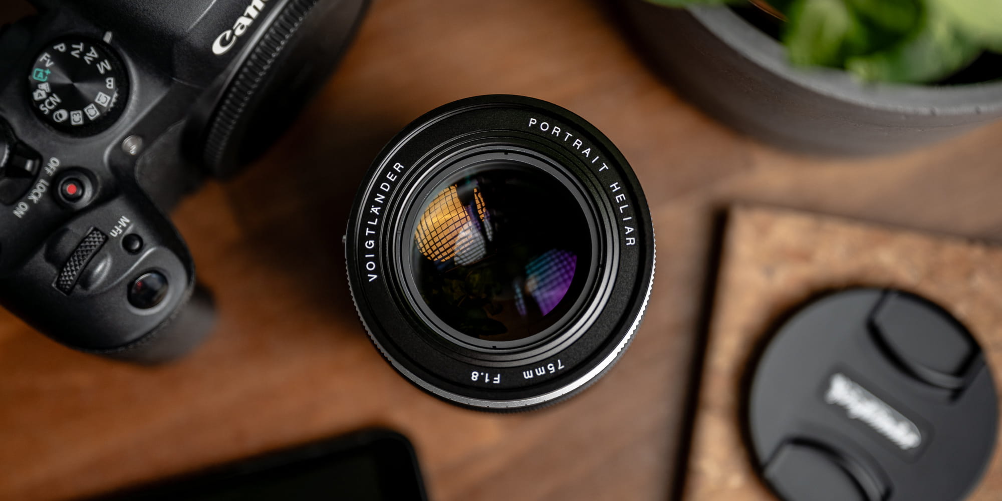 voigtlander portrait heliar 75mm f/1.8 canon rf