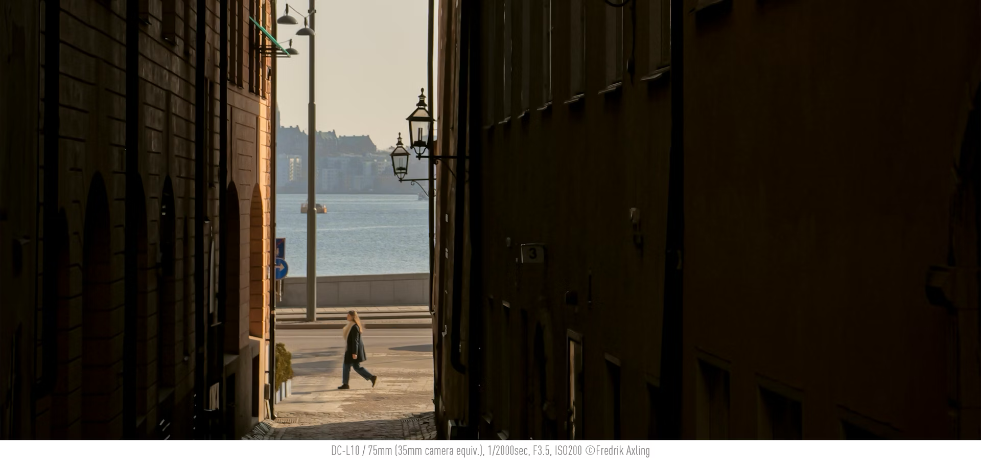 aparat panasonic lumix l10