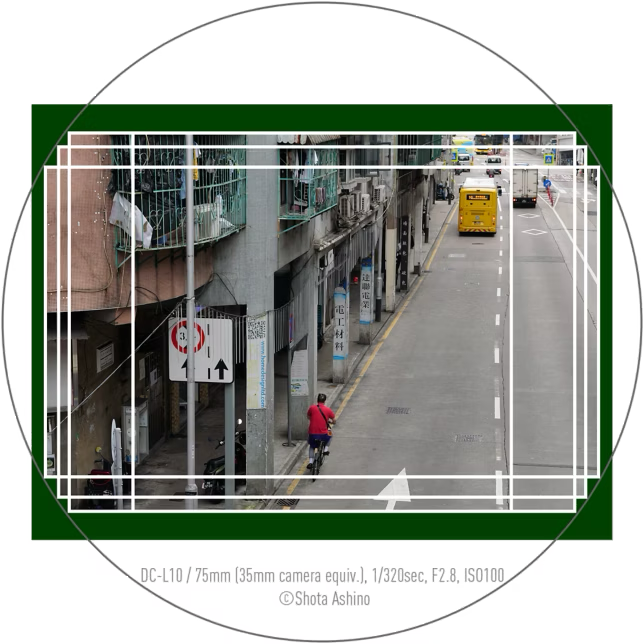 aparat panasonic lumix l10