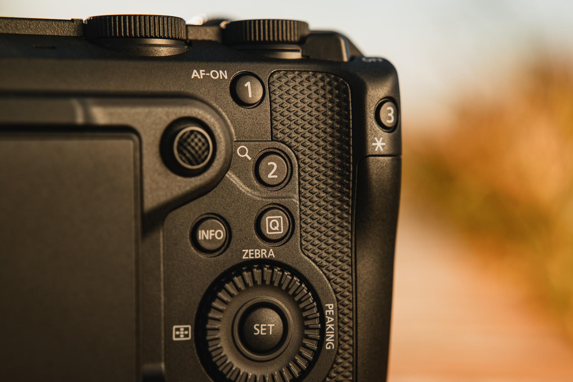 canon r6v