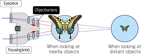pentax papilio