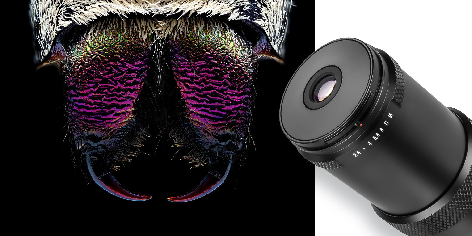 astrhori mf 25 mm f/2,8 full-frame macro