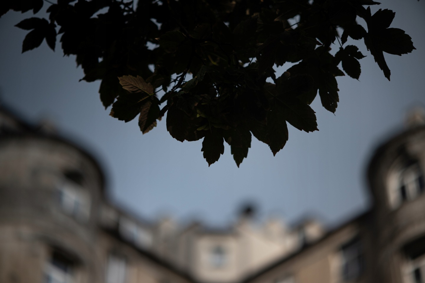 85mm f/1.8