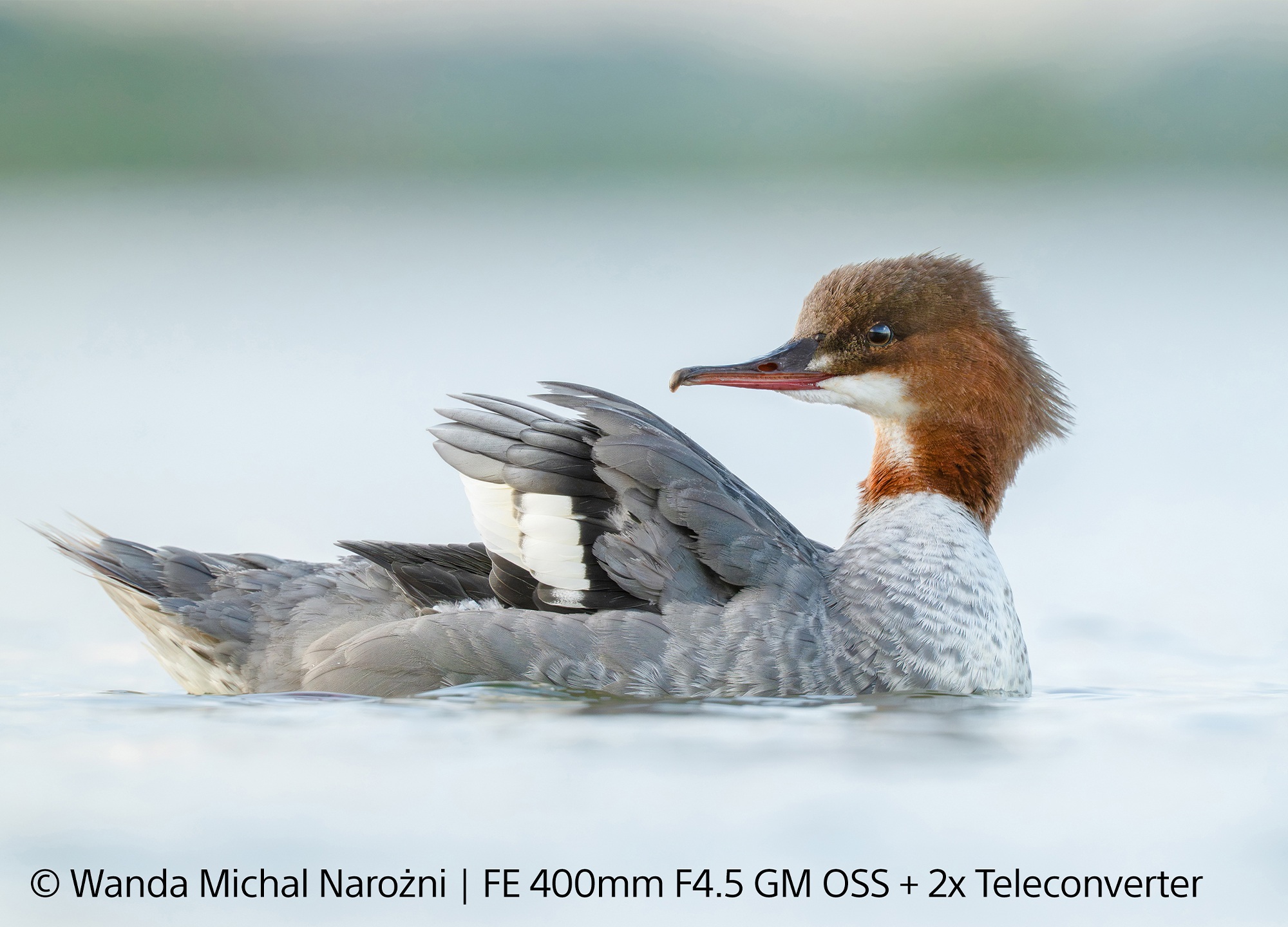 Obiektyw Sony FE 400 mm F4.5 GM OSS  - bo liczy się każdy szczegół