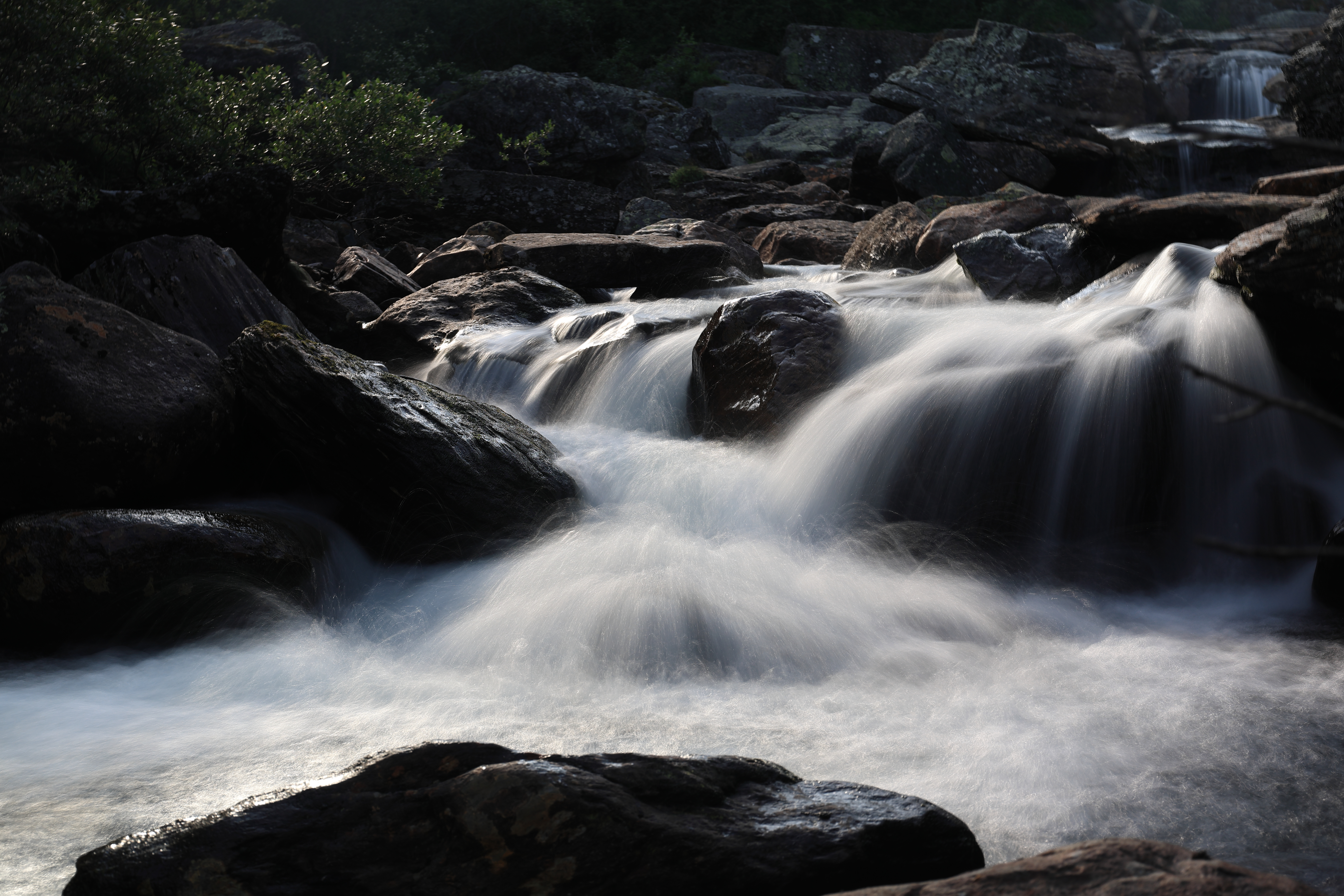 Aparat Canon EOS R8 II