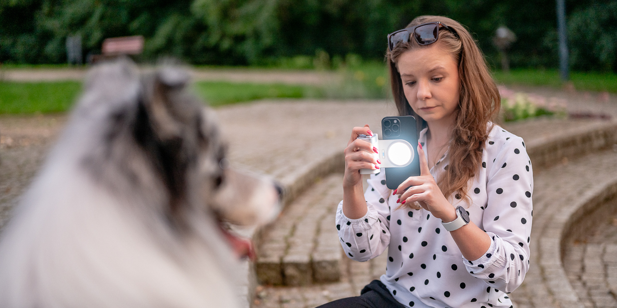 Newell SnapLight