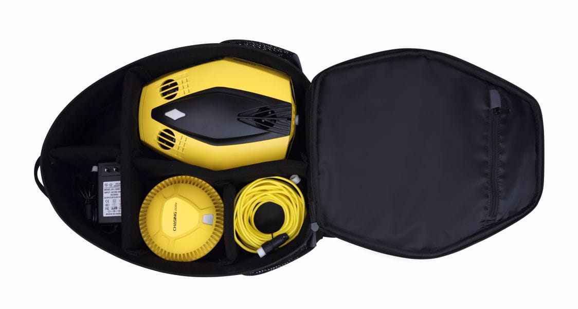 CHASING DORY BACKPACK