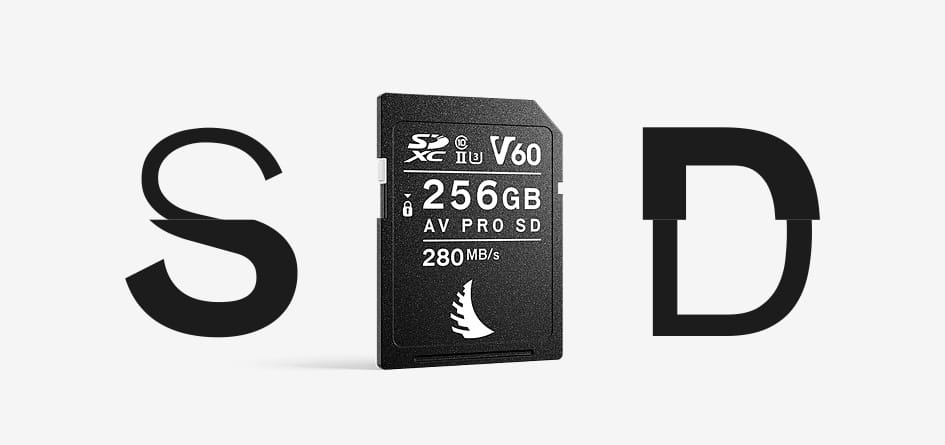karta_pamięci_angelbird_av_pro_sd_mk2_256gb_v60_2szt_02
