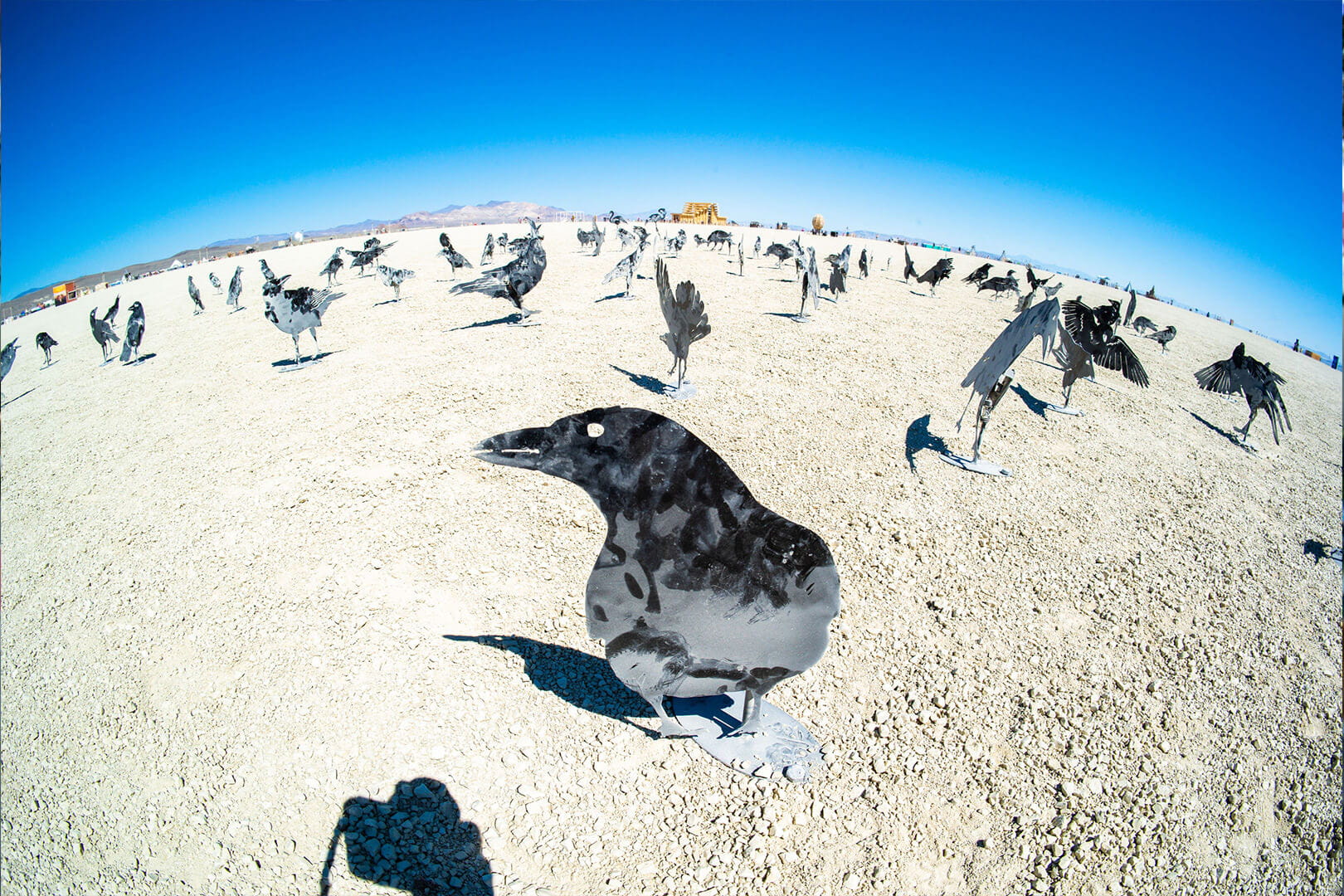 obiektyw_ttartisan_11mm_f2.8_fisheye_canon_r_04