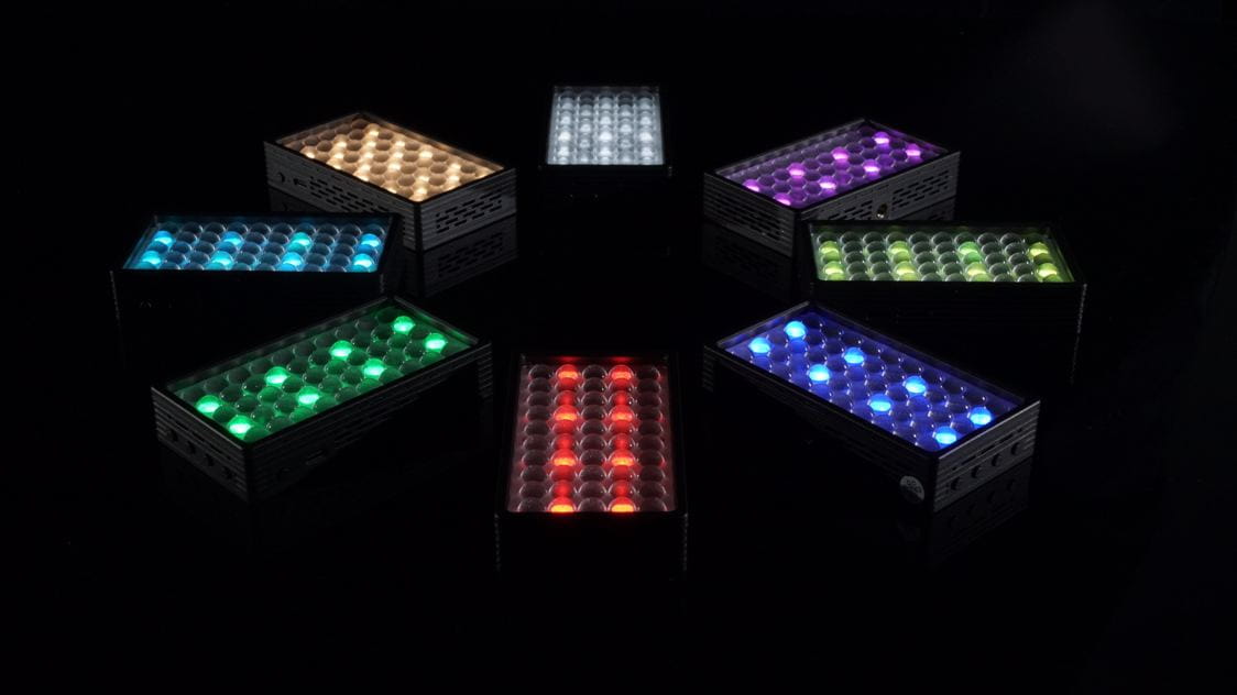 NANLITE LitoLite 5C RGBWW LED Pocket Light