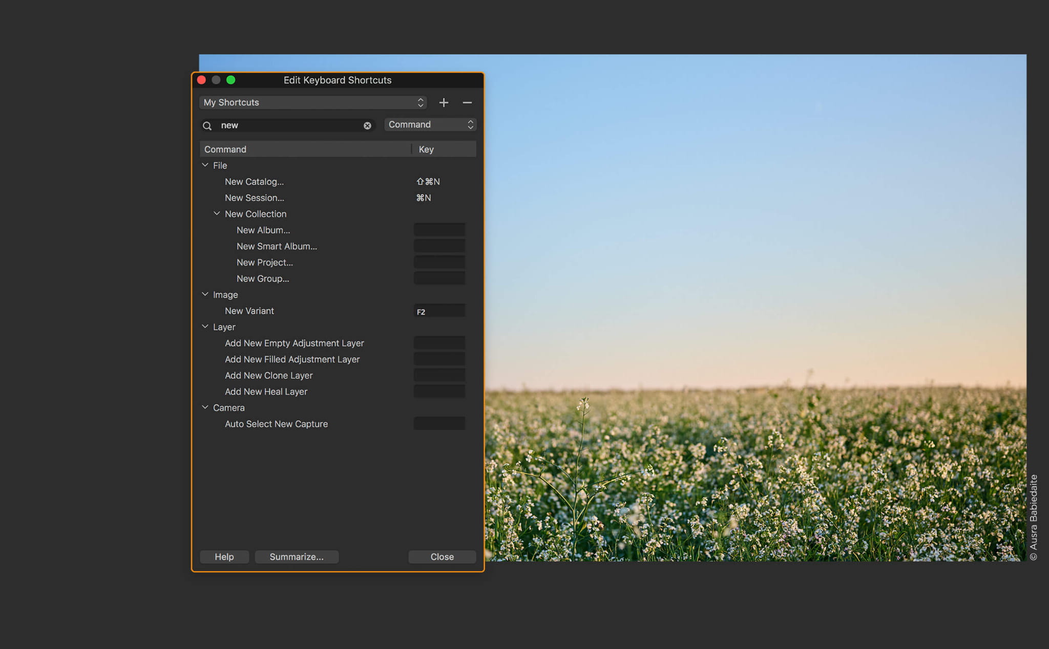 Capture One Pro 20 - Oprogramowanie (Roczna subskrypcja, 10 użytkowników)
