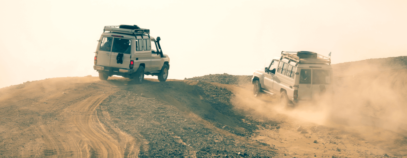 Monitor podglądowy/Rekorder Atomos Neon 55"