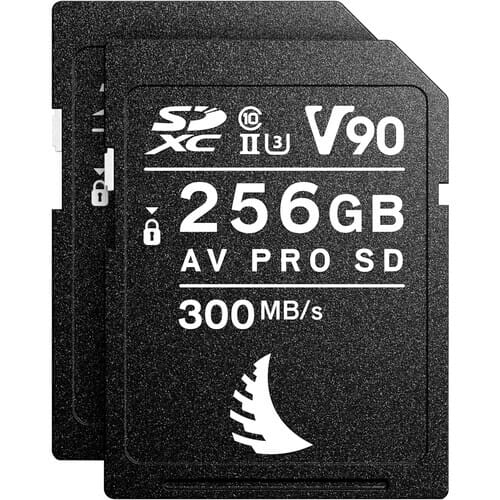 Match Pack Angelbird Sony Alpha 7/Alpha 9 SD 256 GB V90 - 2 PACK