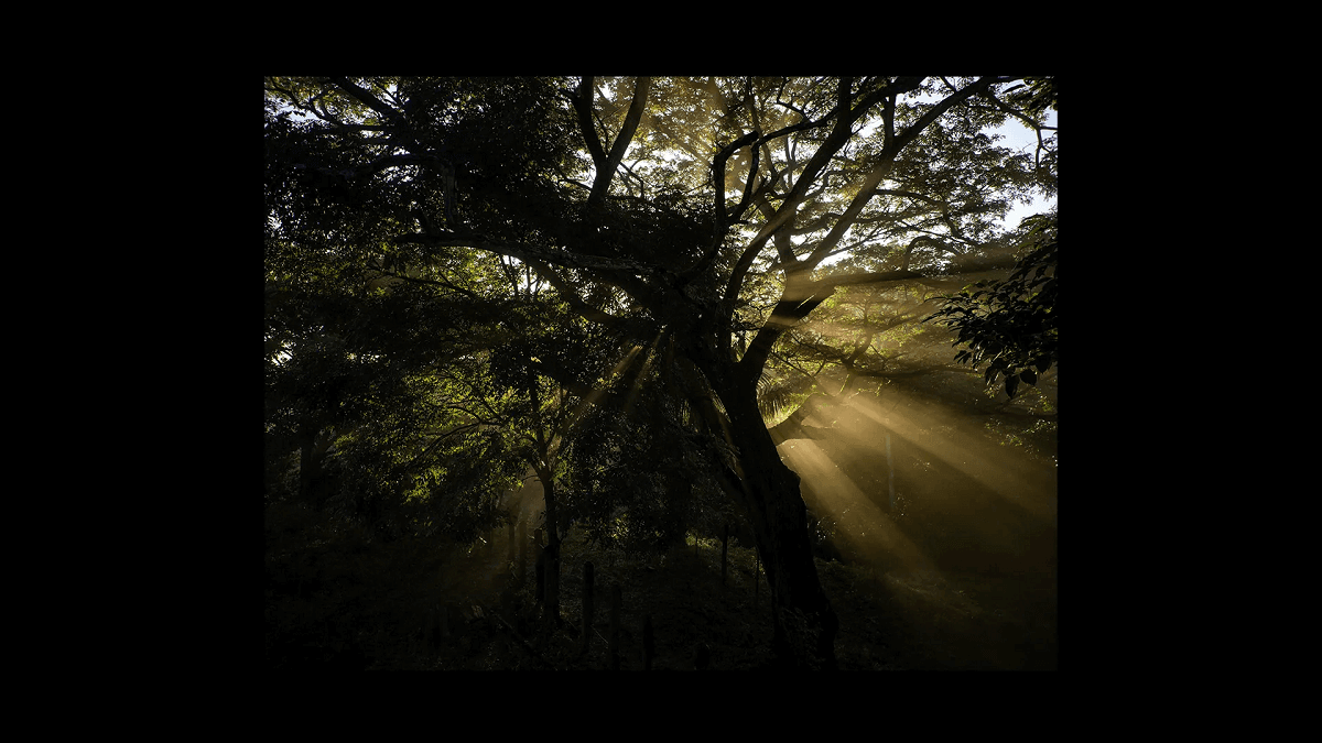 Dron AUTEL Robotic EVO II Pro 6K