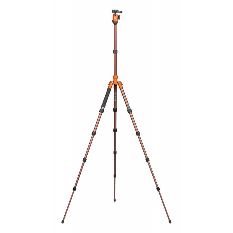 Statyw Fotopro X-go Gecko z głowicą kulową FPH-42Q