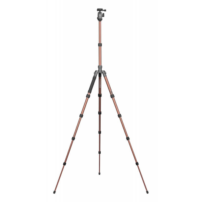 Statyw Fotopro X-go Gecko z głowicą kulową FPH-42Q